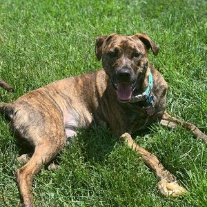 Meet your Posher, Cameron